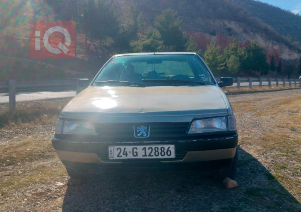 Peugeot Roa